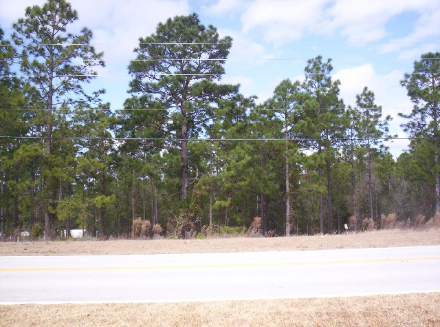 4963W.PineRidgeBlvd photo